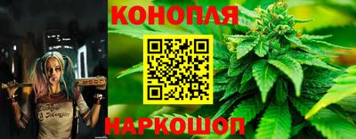 гидропоника Туймазы