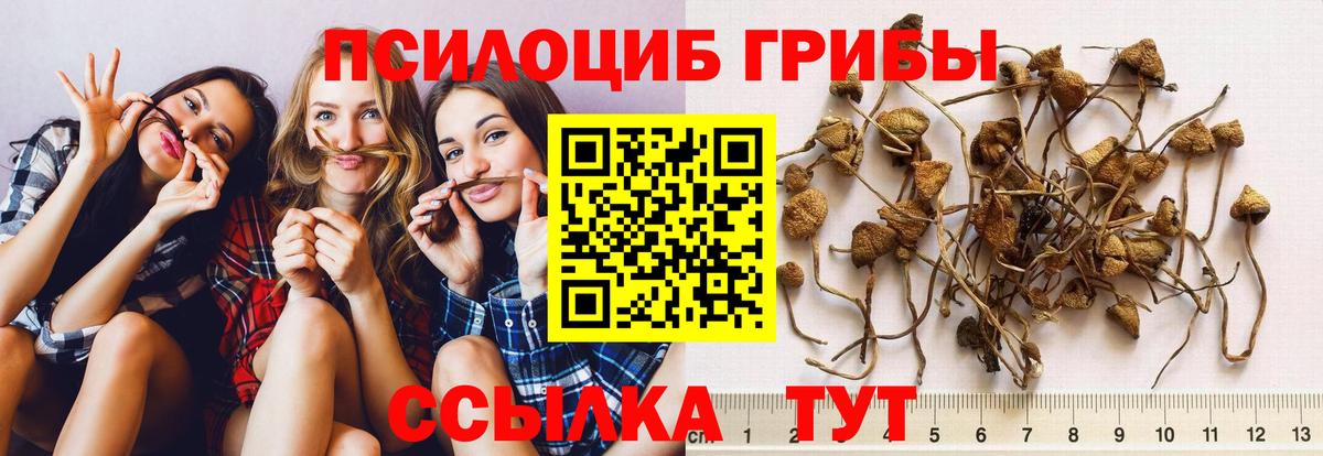 Псилоцибиновые грибы MAGIC MUSHROOMS  Вход с VPN  Надым 