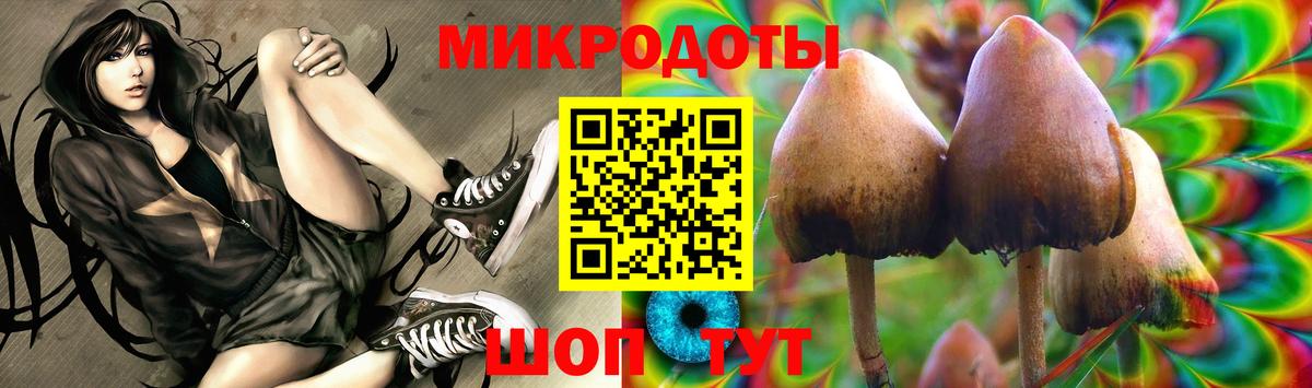 Псилоцибиновые грибы мицелий Надым